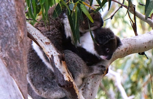 Points South By The Sea - Foto 29