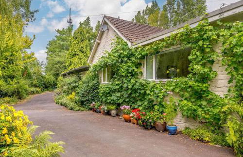 1 Bed in Clyro BN260 - Photo 1