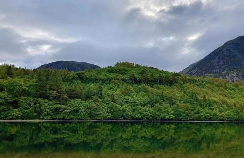 Scale Hill Hotel - Foto 27