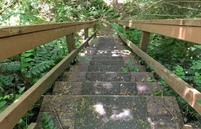 70MBR- Hot Tub - BBQ - Wi-Fi - Pets Ok - Sleeps 8 - Foto 21