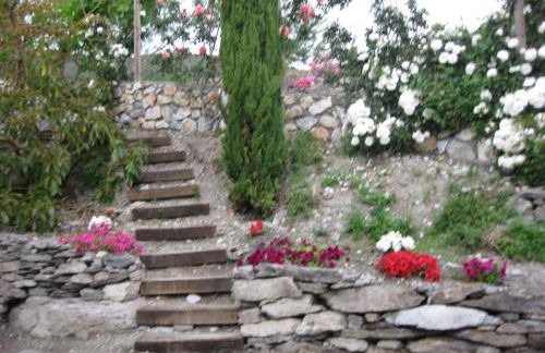 Bancal de Los Pérez - Foto 29