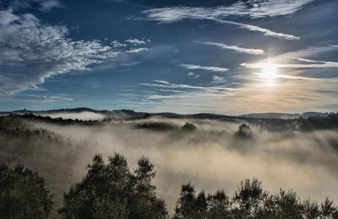 Podere Cunina - Foto 57