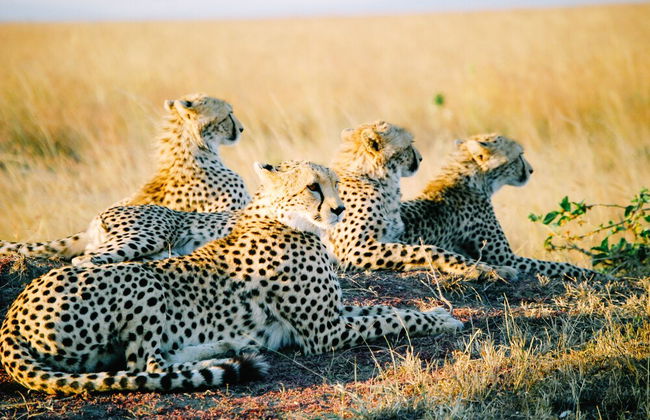 Ol Bobongi House - Foto 22