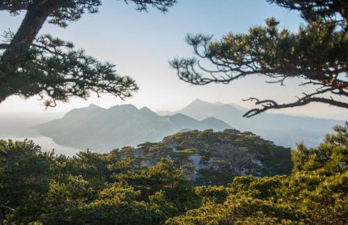 Villa Ivka NEW HOUSE pool and beautiful view - Photo 44