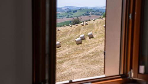 Sweet Home Offida - Foto 5