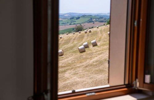 Sweet Home Offida - Foto 5