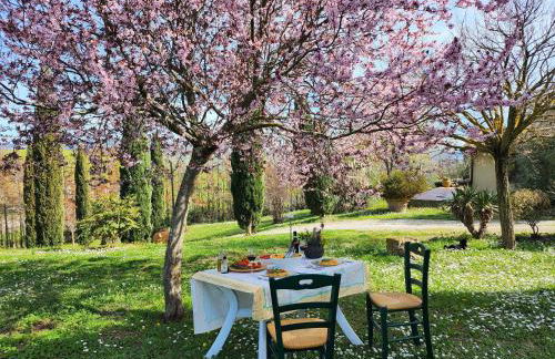 Agriturismo LUCERTOLA - Foto 21