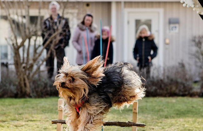 Åhus Resort - Photo 23