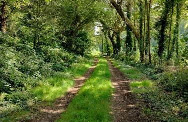 moulin dans les bois - Finistère - Foto 23