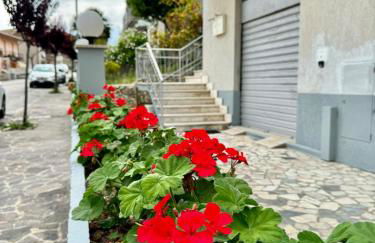 Conero Holiday Home - "Il Filare" - Foto 9