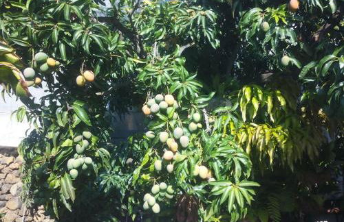 Casa Mamita - Foto 29