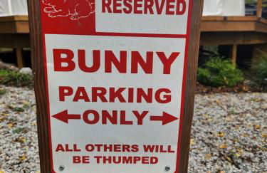 Bunny Bungalow Romantic Getaway in a Spacious Geodome - Foto 16