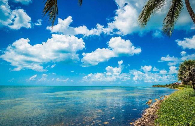 Atlantic Paradise by Avantstay Great Location w/ Balcony, Outdoor Dining & Shared Pool & Hot Tub! - Foto 25