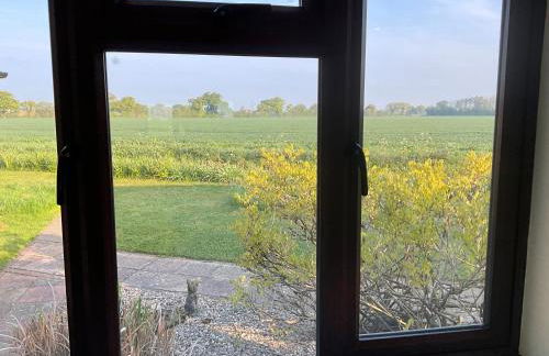 Pheasant Suites - Foto 8