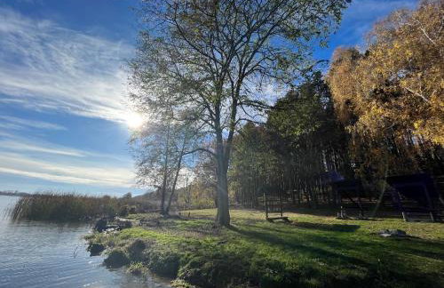 Gold Pearl Zegrze - Foto 42