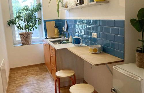 Little Fine Apartment close to Leipzig - Foto 1