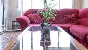 Casa con vistas al rio - Foto 4