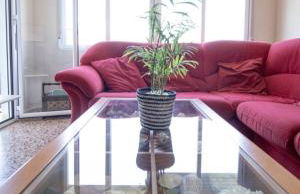 Casa con vistas al rio - Foto 4