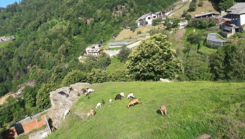 Agriturismo Fiorendo - Foto 4, Garden