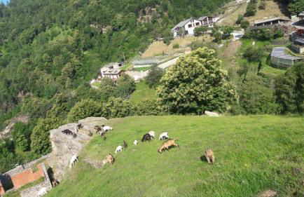 Agriturismo Fiorendo - Photo 4