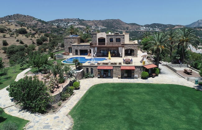 Palmiye Tepesi - Foto 73