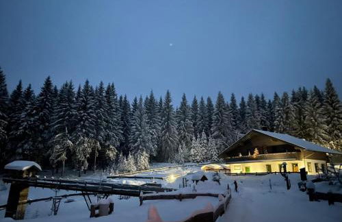 Ferienwohnung Werraquell Hütte - Foto 22