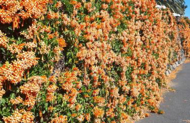 Los Fondos - Foto 18