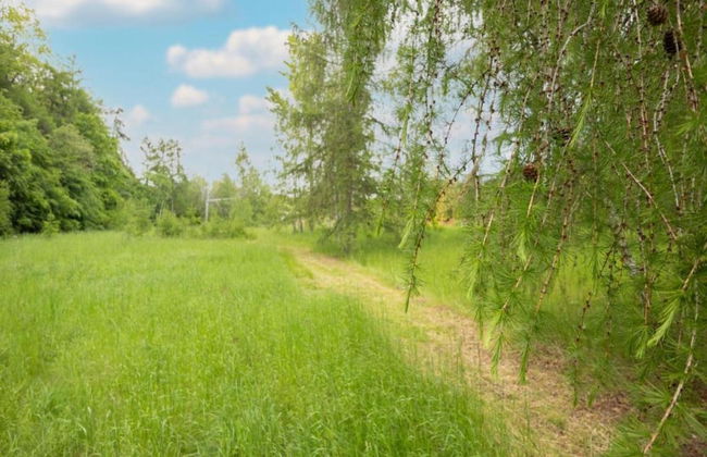 Apartment in Harz With Terrace and Fireplace - Photo 27