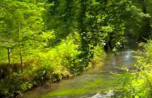 Ferienwohnung Högenbachtal - Foto 23