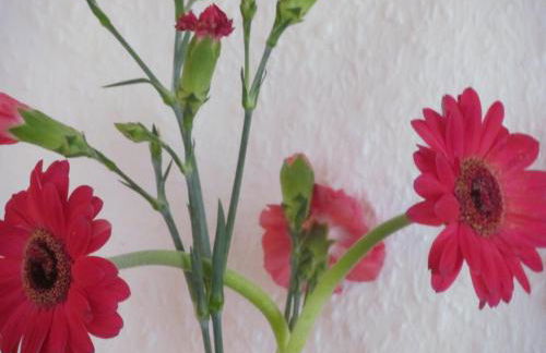 Historischer Davidshof - Mit dem Rad die Nordseehalbinsel erkunden - Foto 43