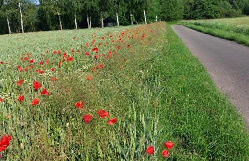 Ferienwohnung MW 1b 82m2 Höxter Weserbergland Weser inkl 2 Terrassen Wäsche und Endreinigung Self CheckIn - Foto 42