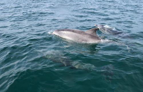 Le Clos de la Pointe Saint-Mathieu - Photo 24