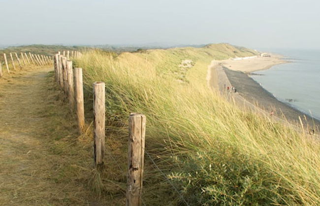 Chalet in Goedereede Near North Sea Beach - Photo 34