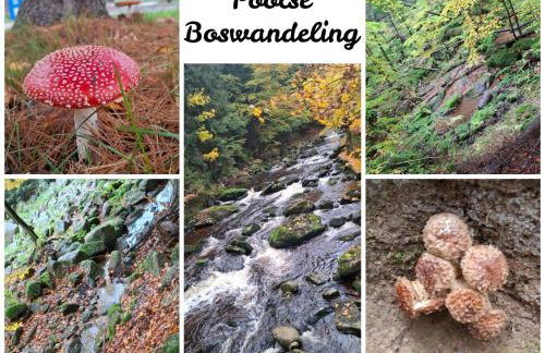 Hygge Młyńsko - Foto 44