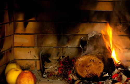 Quinta do Chãozinho - Photo 16