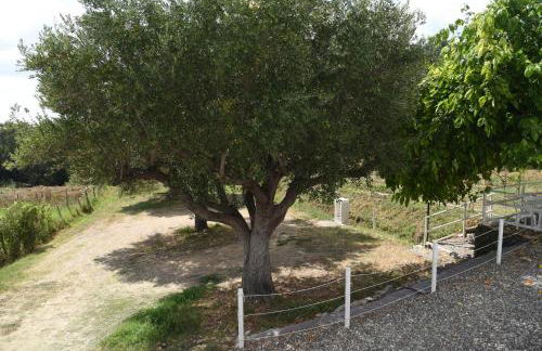 Palinuro Casa Vacanza Melita - Foto 19