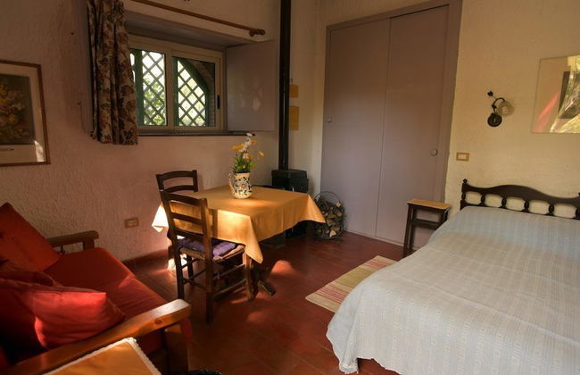 Cirasellaetna - Foto 5