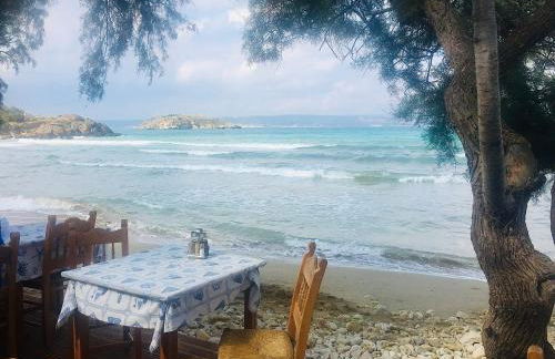 MOKKINO garden level private pool outdoor kitchen - Photo 26