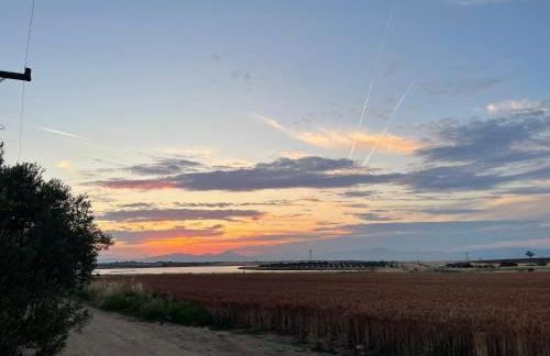 My House in Paralia Messi - Foto 45