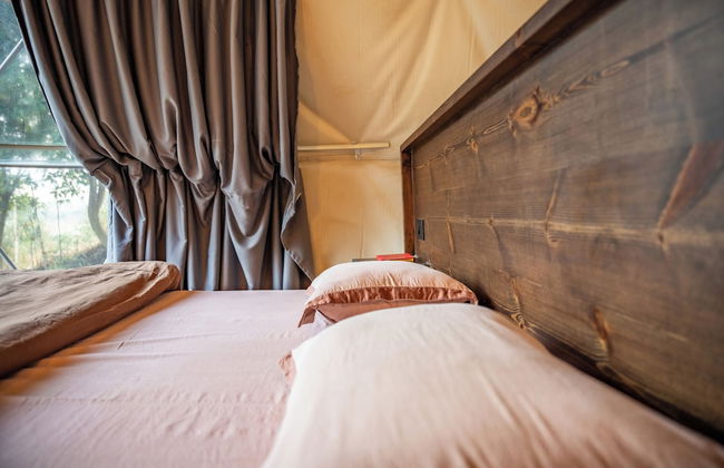 Geeli Mitti - Foto 22