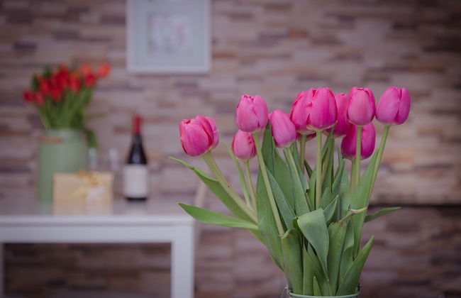 Shenkin Vilmar Apartments - Foto 14