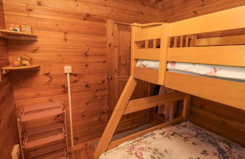 Aurora Skies - Photo 21