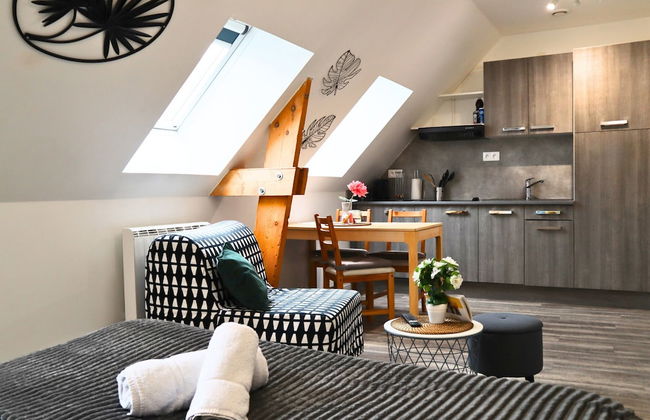 Apart'Moment CONFORT Saint-Omer - Foto 32