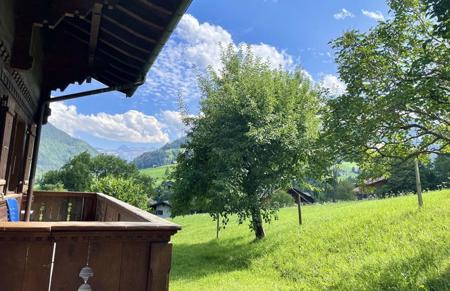 Akelei (gross) - Photo 12