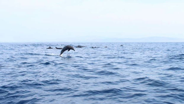 Puerto Escondido Cruise at Sunrise - Foto 3