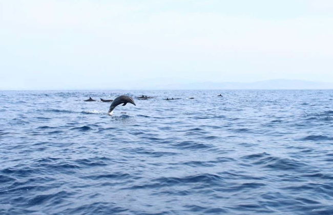 Puerto Escondido Cruise at Sunrise - Foto 3