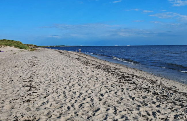 12 Person Holiday Home in Rodby - Foto 27