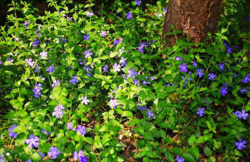 Mitten im Seenland und Spreewaldnah, schöner Garten - Foto 28
