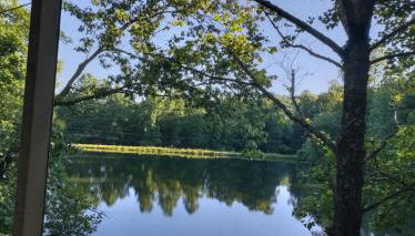 Waterfront cabin in the woods - Foto 2