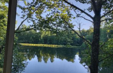 Waterfront cabin in the woods - Foto 2